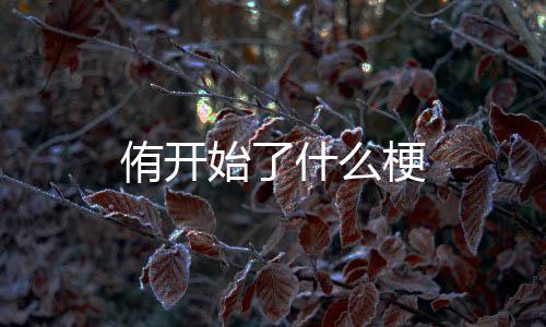 梗始了什么侑开