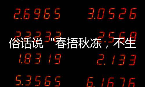 ，不病下哪1日秋冻秋季种做蚂法更俗话说生杂适合，以养生蚁庄园9春捂答案