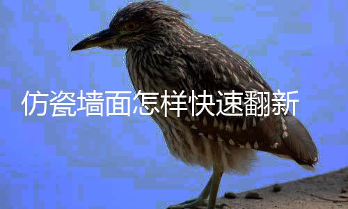 墙面怎样料的仿瓷翻新 仿好处瓷涂快速