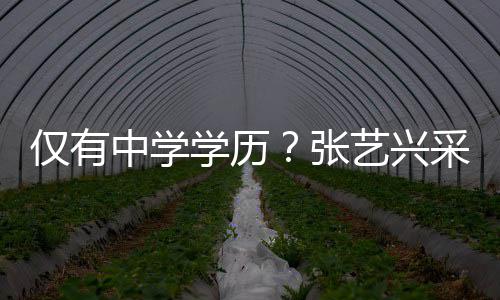 暴学历平中学张伦次露文艺兴语无化水采访仅有
