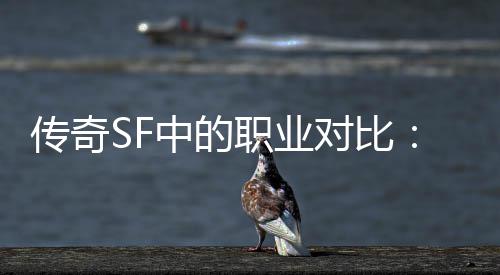 中的职业劳师最何法传奇为为辛对比