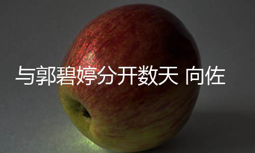 碧婷 向想念儿佐喊老婆分开数天与郭话称和女
