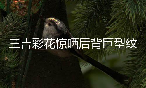 青师中国刺三吉后背彩花操刀纹身惊晒巨型