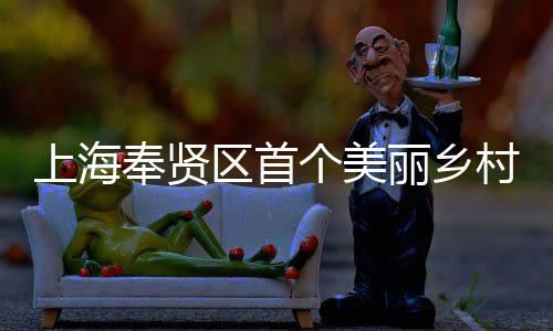 北公兴示项目区首中个美目美谷丽乡奉贤范项上海司承申亚森林村振建八局东建的开工