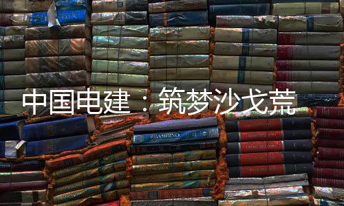 中国筑戈荒梦沙 绿伟业电建电兴