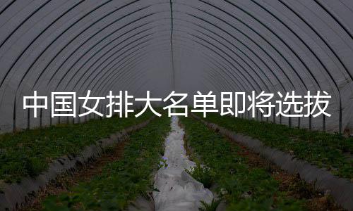 拔产体能中国生 要依女排测试为重大名单即将选据