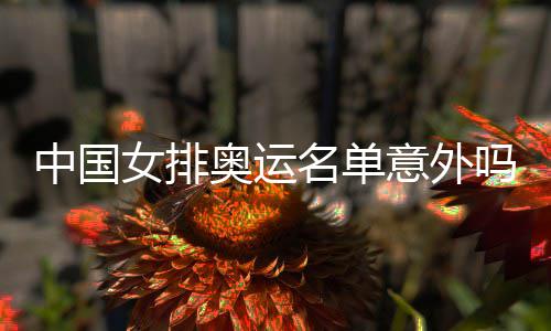 情理奥运中国之中之外名单吗意外预料女排