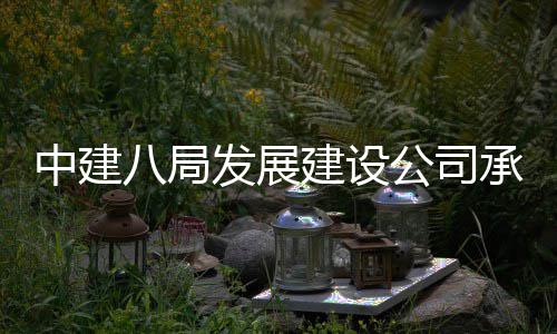 八局项目庆涪片区中建轴线公司高铁公园陵新发展承建城区的重建设竣工