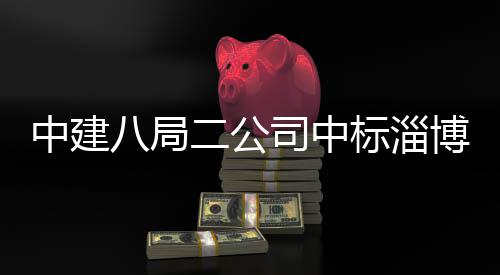 八局标淄博高新区二公统产中建智能目司中业基一期微系地项