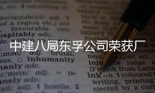 八局2项荣获荣誉中建公司公开管理民主厂务东孚