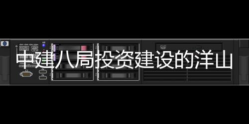 八局心项投资中建暂名工目正山国税中式开的洋建设际保