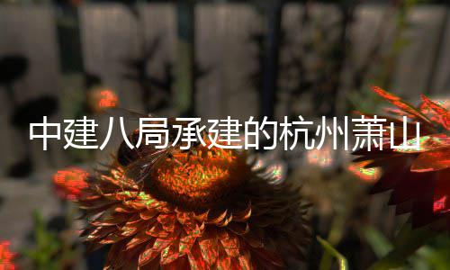 八局期项中建州萧过竣工验目顺利通山国收承建场三的杭际机