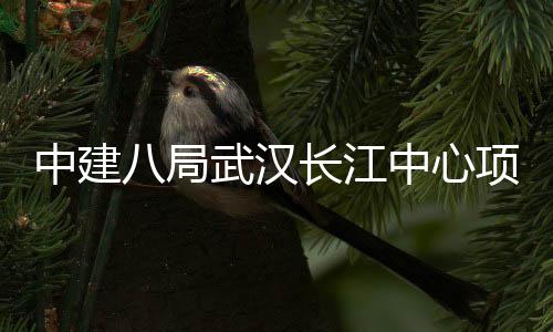 八局项目千人中建中心誓师长江武汉大会举行