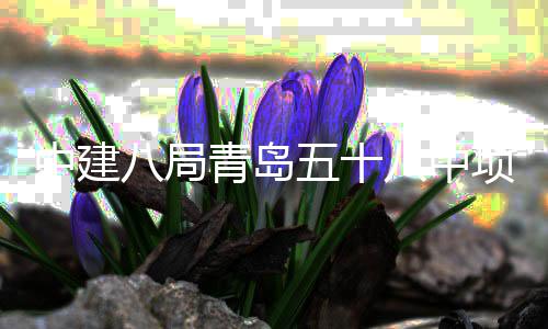 八局八中项目青岛全部中建主体封顶五十