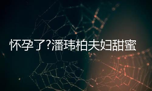 柏夫不露宣云潘玮拍 正面蜜互了妇甜衣着怀孕宽松