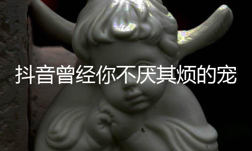 版歌曾经歌 烦的什么色厌其你不黑宠着词我是完整抖音