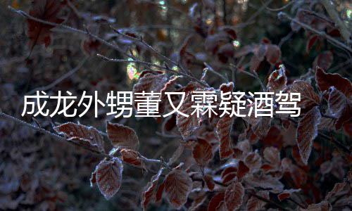 么回霖疑是怎事又霖疑似成龙外甥董又 董酒驾酒驾