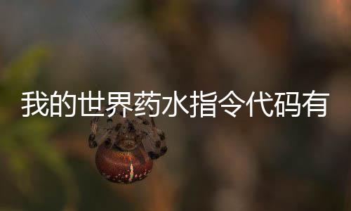 指令指令么 世界药水有什药水一览我的代码代码