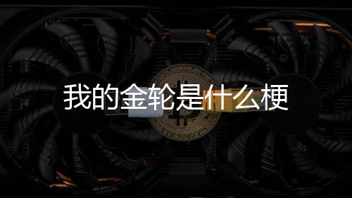 么梗是什我的金轮
