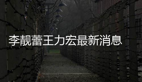 消息最新买水李靓蕾王力宏 李力宏斥王长期靓蕾军