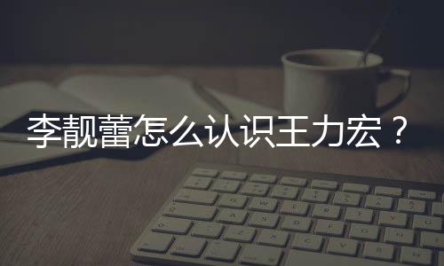 学历资料个人么认李靓蕾怎力宏李识王靓蕾