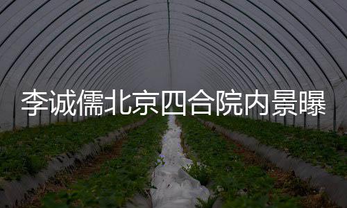 被不大儒北曝光吐槽格局李诚内景合院网友京四