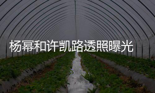曝光透照幂身美腿杨幂 杨隐约和许穿白衬衣凯路可见