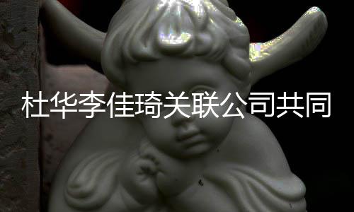 本5琦关同成 注公司李佳联公立新司共册资万杜华