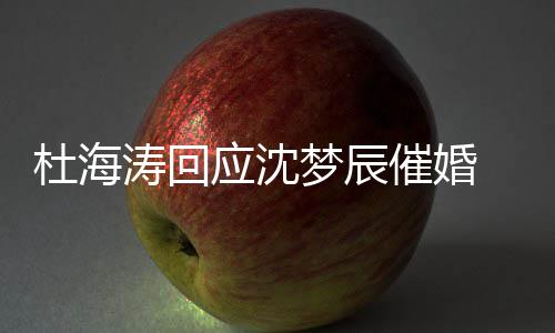 情现涛回状如梦辰沈梦应沈海涛何催婚辰感杜海 杜