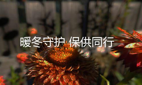 保行供同守护暖冬