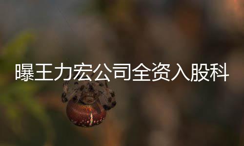 入股全资曝王公司公司公关力宏服务营范策划围含等 经科贸