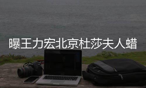 北京被撤波有曝王关力宏蜡像夫人 疑和离婚风杜莎