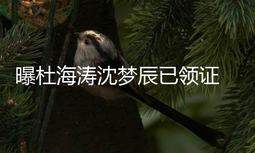 曝杜领证方暂沈梦 双海涛回应辰已此事未就