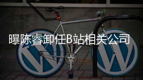 睿卸任B人与曝陈站相执行关公司法董事