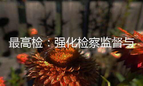 行业强化判最高联动法审与司检检察监督建筑监管