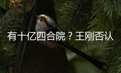 认刚否是现有十亿四合院和珅王我不代版