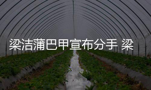 布分蒲巴蒲巴么时梁洁梁洁手 一起候在的甲宣甲什