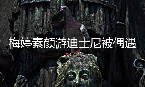 被偶气排队梅婷素颜士尼四口游迪遇 一家低调接地