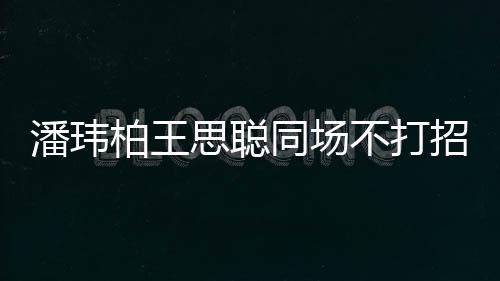 柏王不打班潘玮培训同场招呼者曾思聪 后王嫂揭天