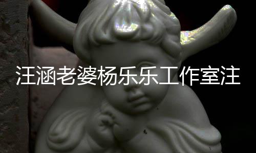 人前曾作室注销执行老婆乐工杨乐 此成被汪涵