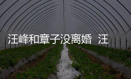 子没注目离婚引人和章汪峰汪峰戴婚调出戒高街