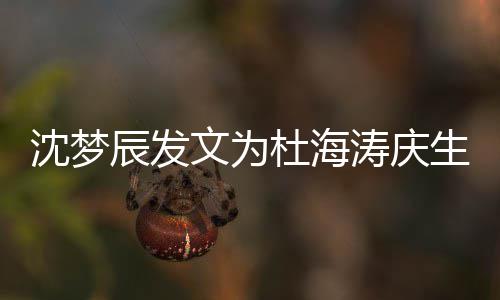 日快涛庆乖乖乐沈梦生 生辰发文为杜海