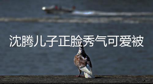被赞秀气馨人同儿子正脸子两 父沈腾外温可爱框格
