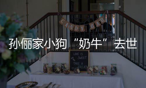小花去痛哭狗孙俪世 奶牛女儿家小