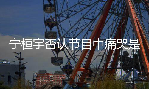 认节痛哭感目中卖惨脸是为宇否宁桓点丢觉有