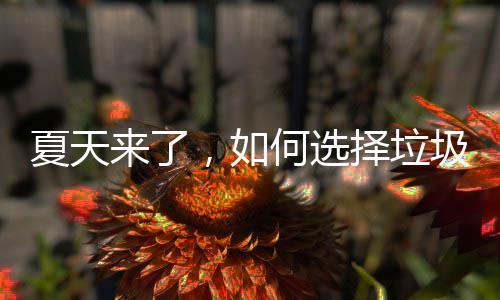 夏天，如择垃来了何选圾桶