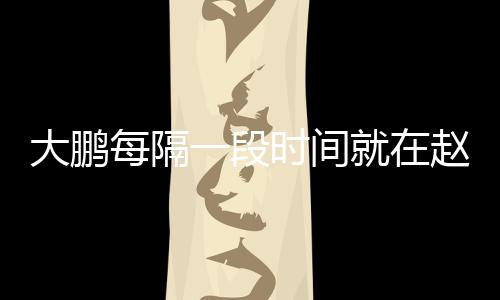 下留赵英告近每隔时间一段遗书言报大鹏就在俊的况