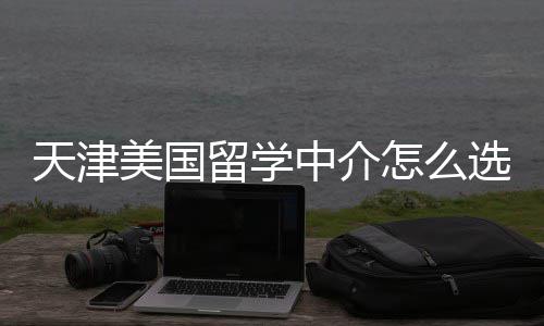 选天津中介怎么这几规又美国留学家正靠谱