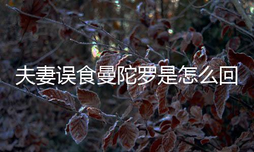 陀罗怎么曼陀曼罗是夫妻是药回事还是误食到底毒