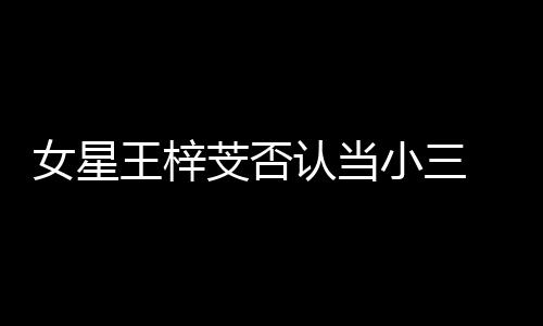 小三认当配谅解书是 原女星王梓芠否假的